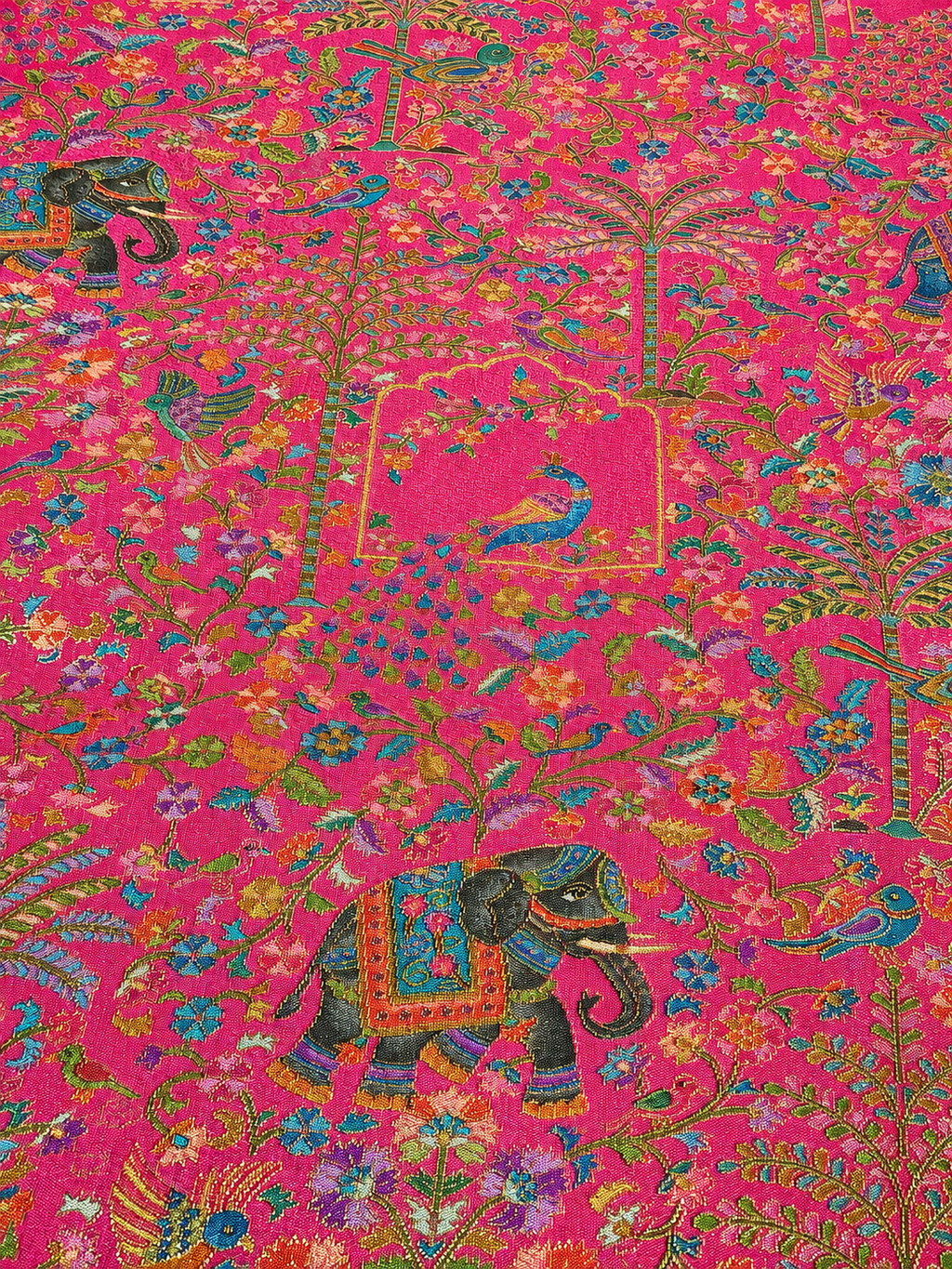 Pashmina pink saree