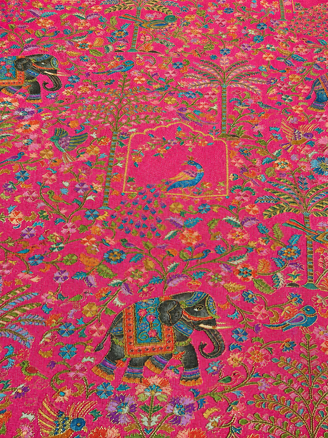 Pashmina pink saree