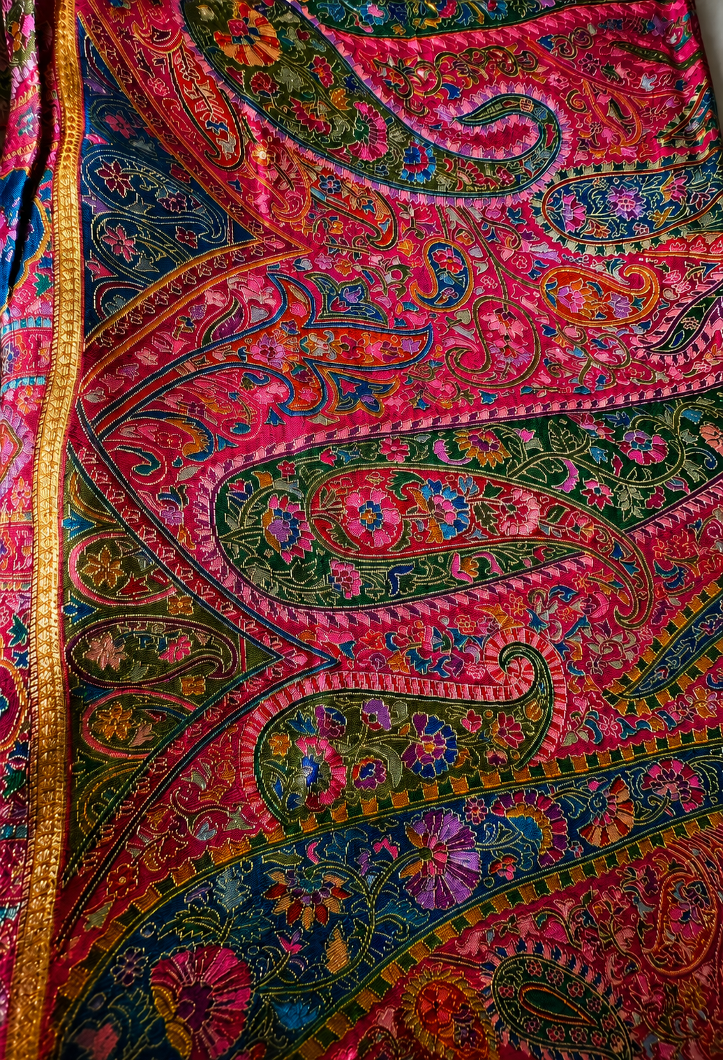 Pashmina green saree
